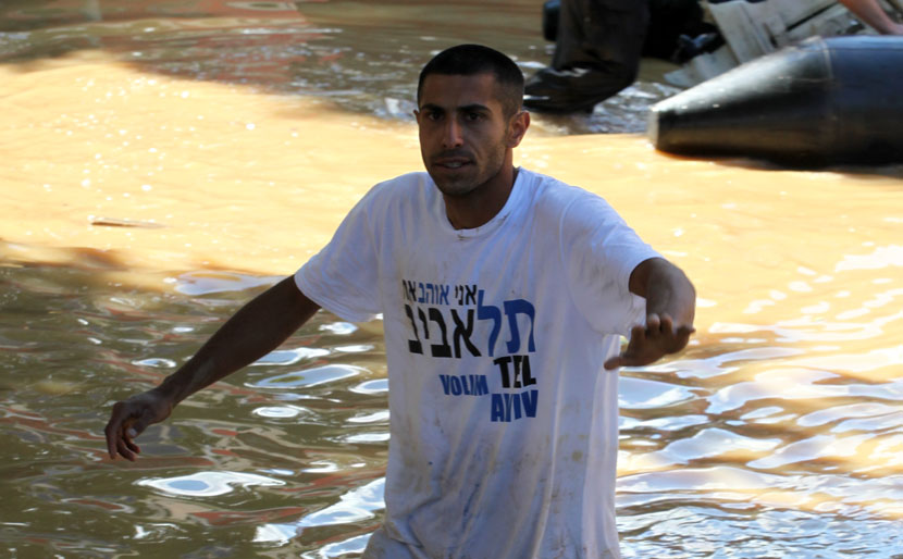 Slobodan-Nedeljkovic-Dzamba