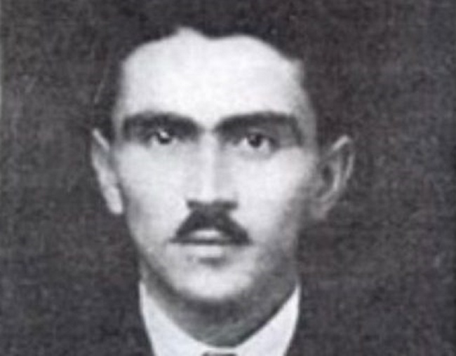 Душан Васиљев: Домовина