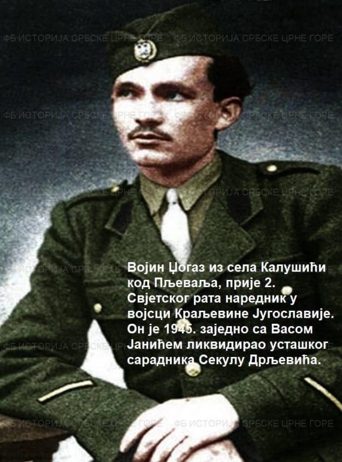 Vojin-D%C5%BEogaz-Pljevlja-681x919.jpg