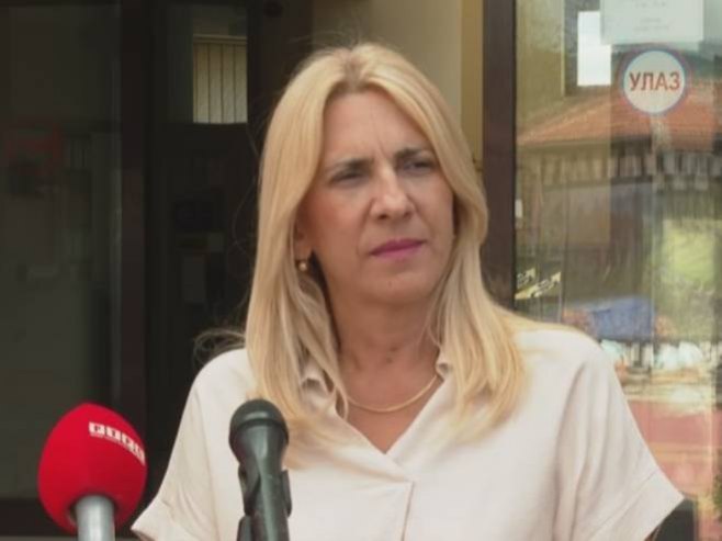 Цвијановић: Добро је што Шмит одлази, али то не решава проблем његовог бахаћења