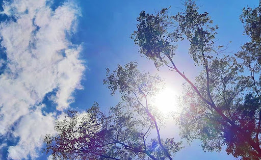 Сјутра сунчано, током дана развој облачности