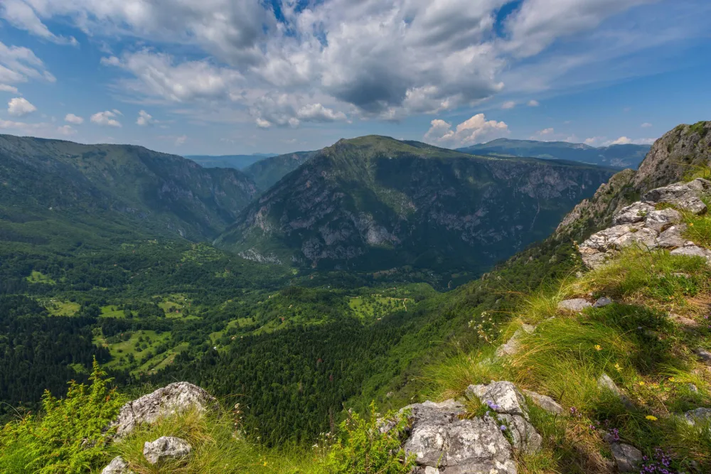 Сјутра претежно сунчано
