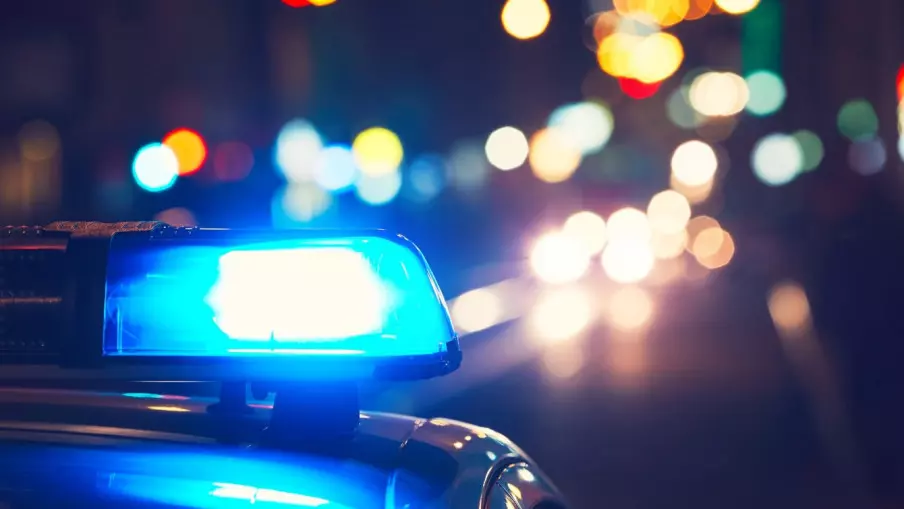 Откривена нелегална кланица, одузето 1,6 тона меса