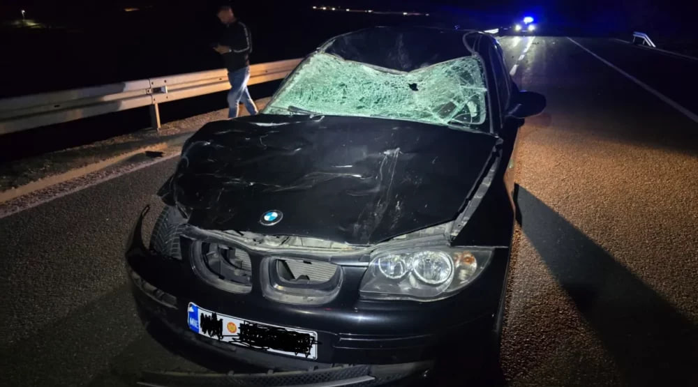 На путу Цетиње-Будва: Аутомобил налетио на говедо, повријеђена једна особа