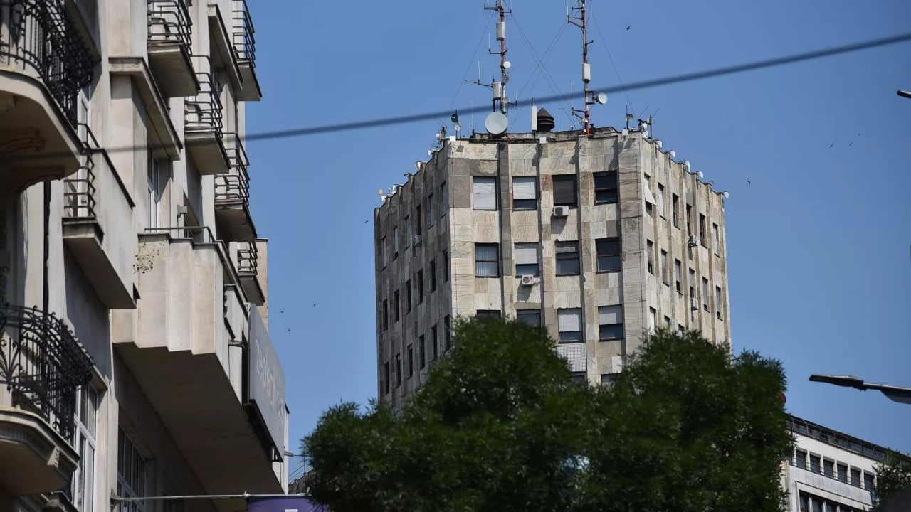 Министарство: Хитна акција збрињавања птића беле чиопе; Протест због билборда на Палати „Албанија“