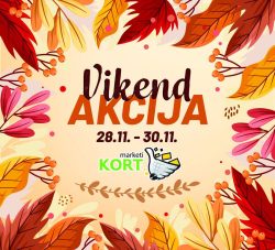 Kort kacija