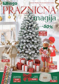 bingo katalog