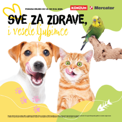 Mercator