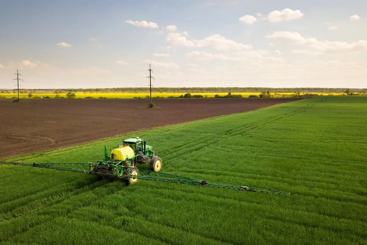 Azoto in agricoltura: nuovi metodi per terra e tavola