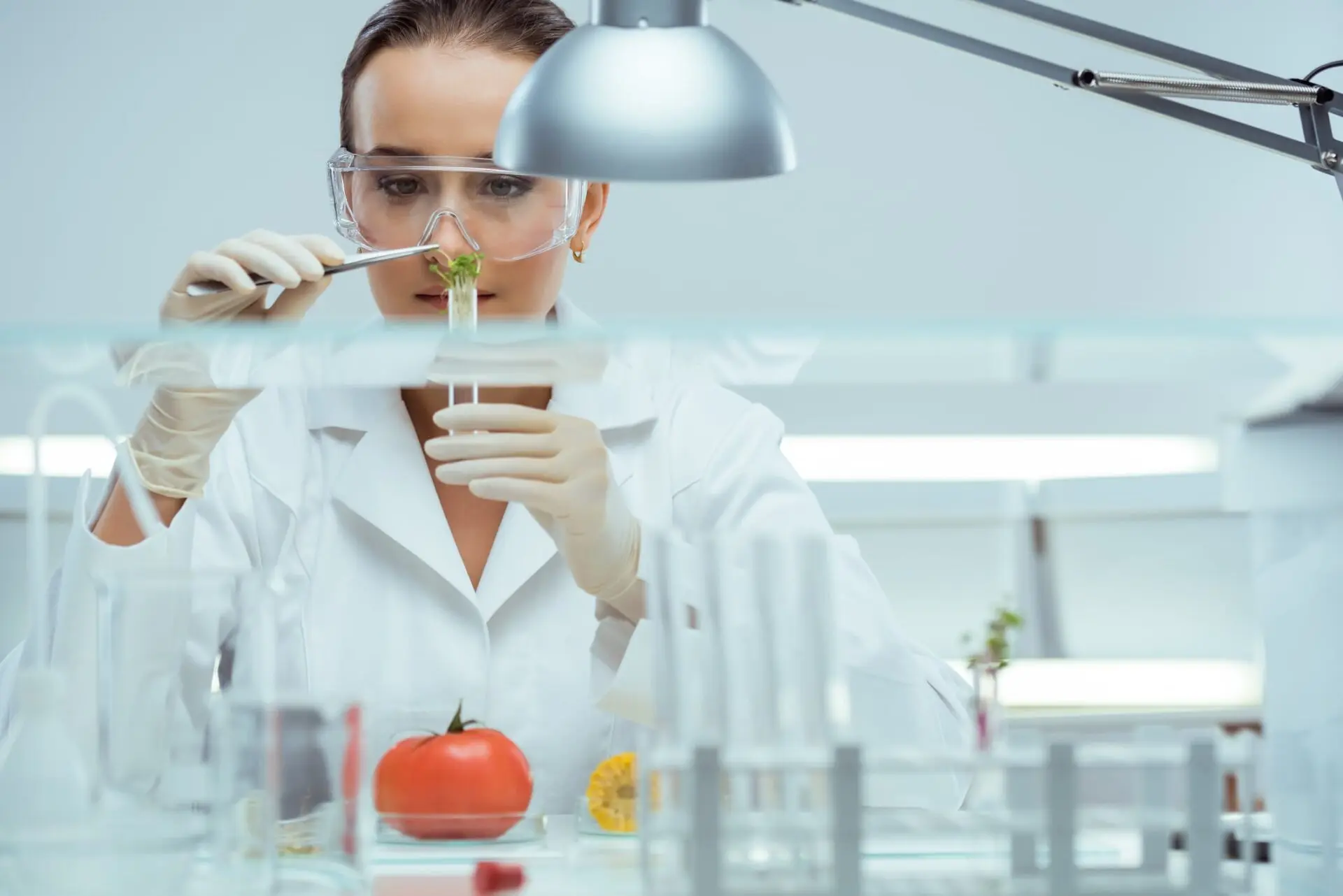 Il responsabile della sicurezza alimentare di Nestlé tra digitale e AI