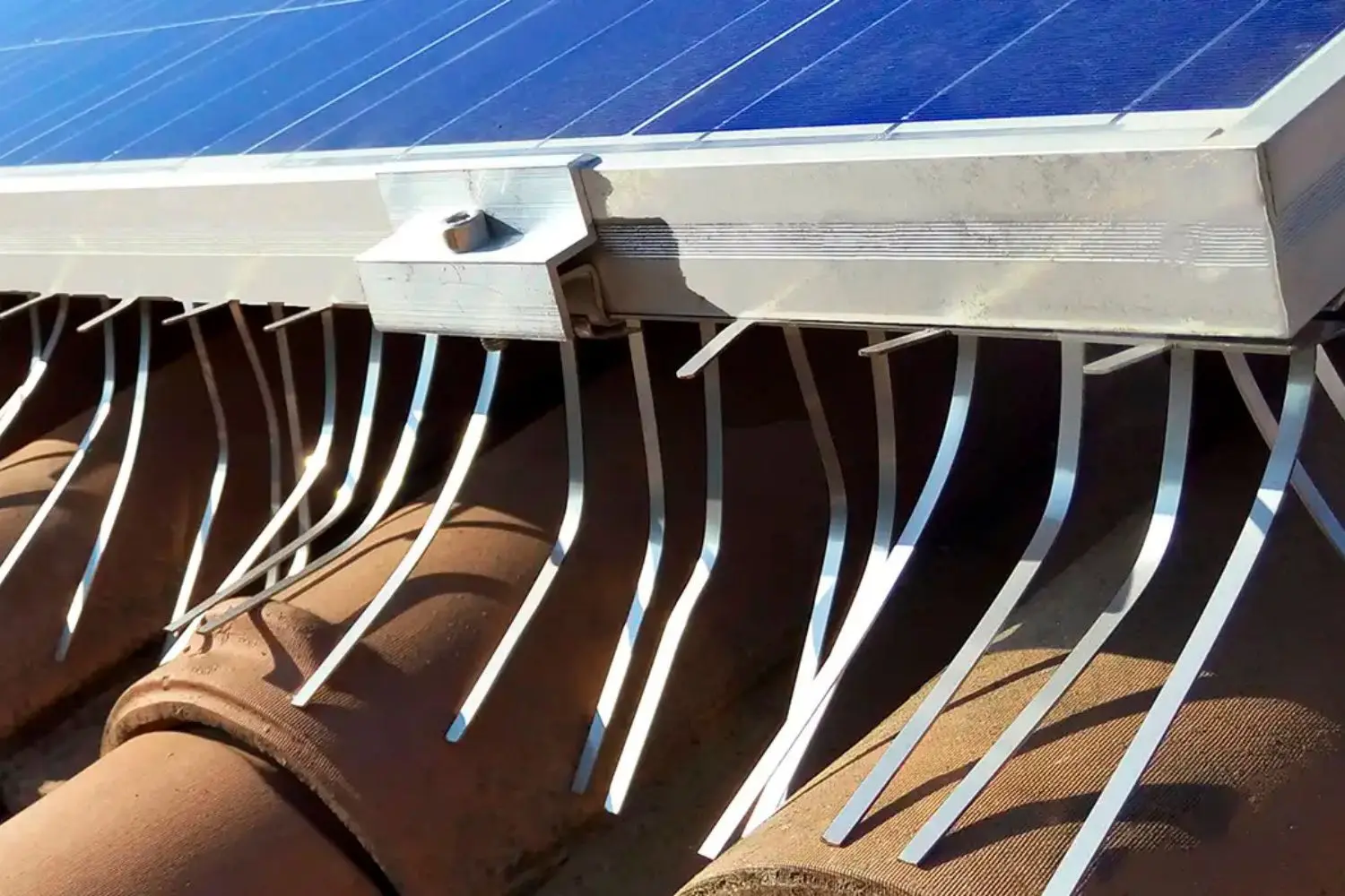 Dissuasori a pettine: una protezione innovativa per i tuoi pannelli solari