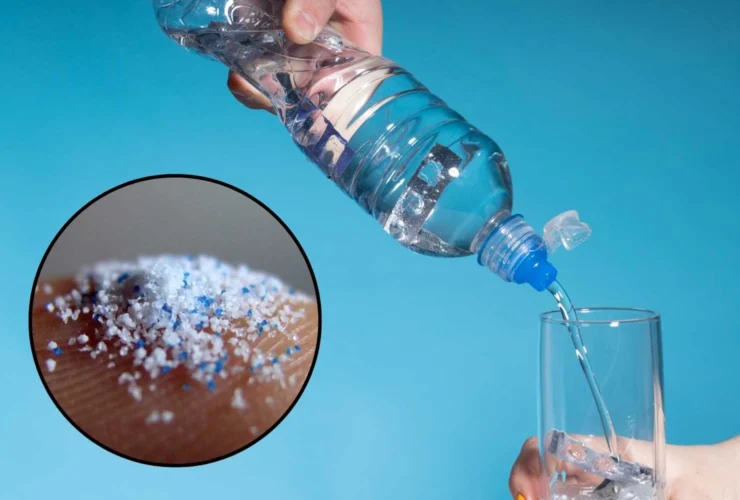 Scienziati rivelano i motivi per rinunciare all’acqua in bottiglia