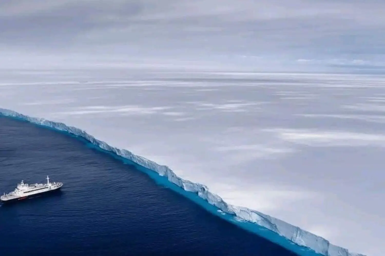 Un iceberg maestoso si incaglia: impatti sull’ambiente globale