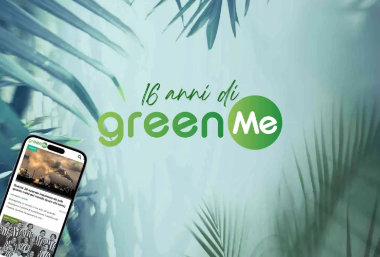 Il viaggio di GreenMe: sedici anni di lotta per l’ambiente