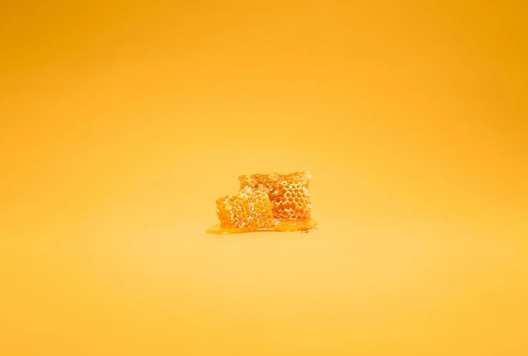 Google agisce: Honey svela i misteri dei suoi profitti