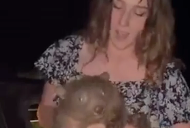 Un’influencer americana genera polemiche adottando un vombato