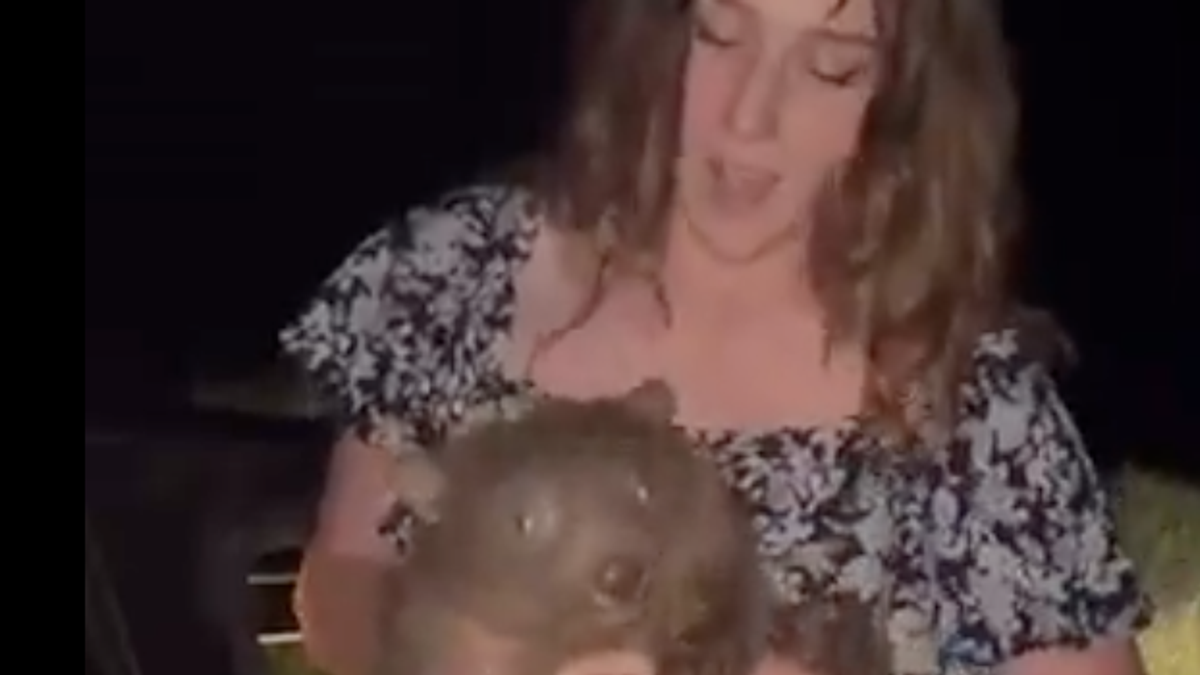 Un’influencer americana genera polemiche adottando un vombato
