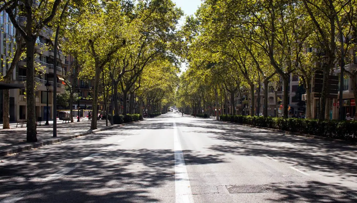 Quattro milioni e mezzo di alberi per il progetto RiforestAzione