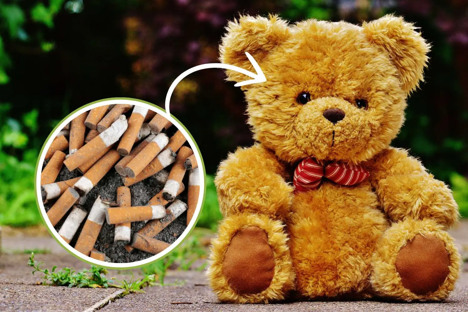 Una startup italiana crea peluche da mozziconi di sigaretta