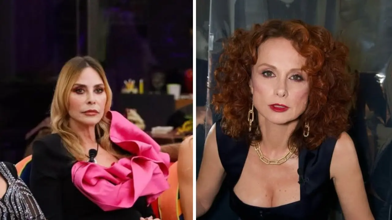 Stefania Orlando contro Beatrice Luzzi: il ruolo dell’opinionista