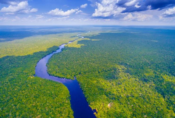 L’Irlanda destina 15 milioni per salvaguardare l’Amazzonia