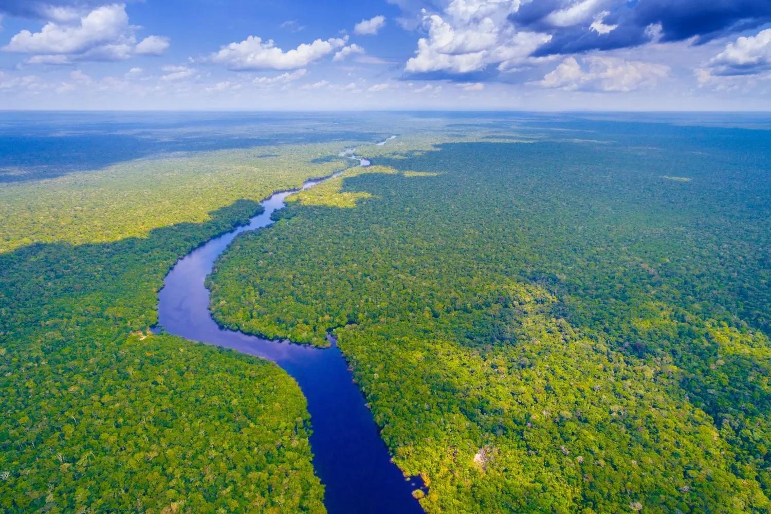 L’Irlanda destina 15 milioni per salvaguardare l’Amazzonia