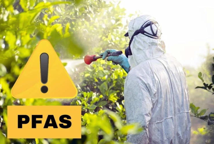 Stop al flufenacet in Ue: serve una svolta sui Pfas oggi