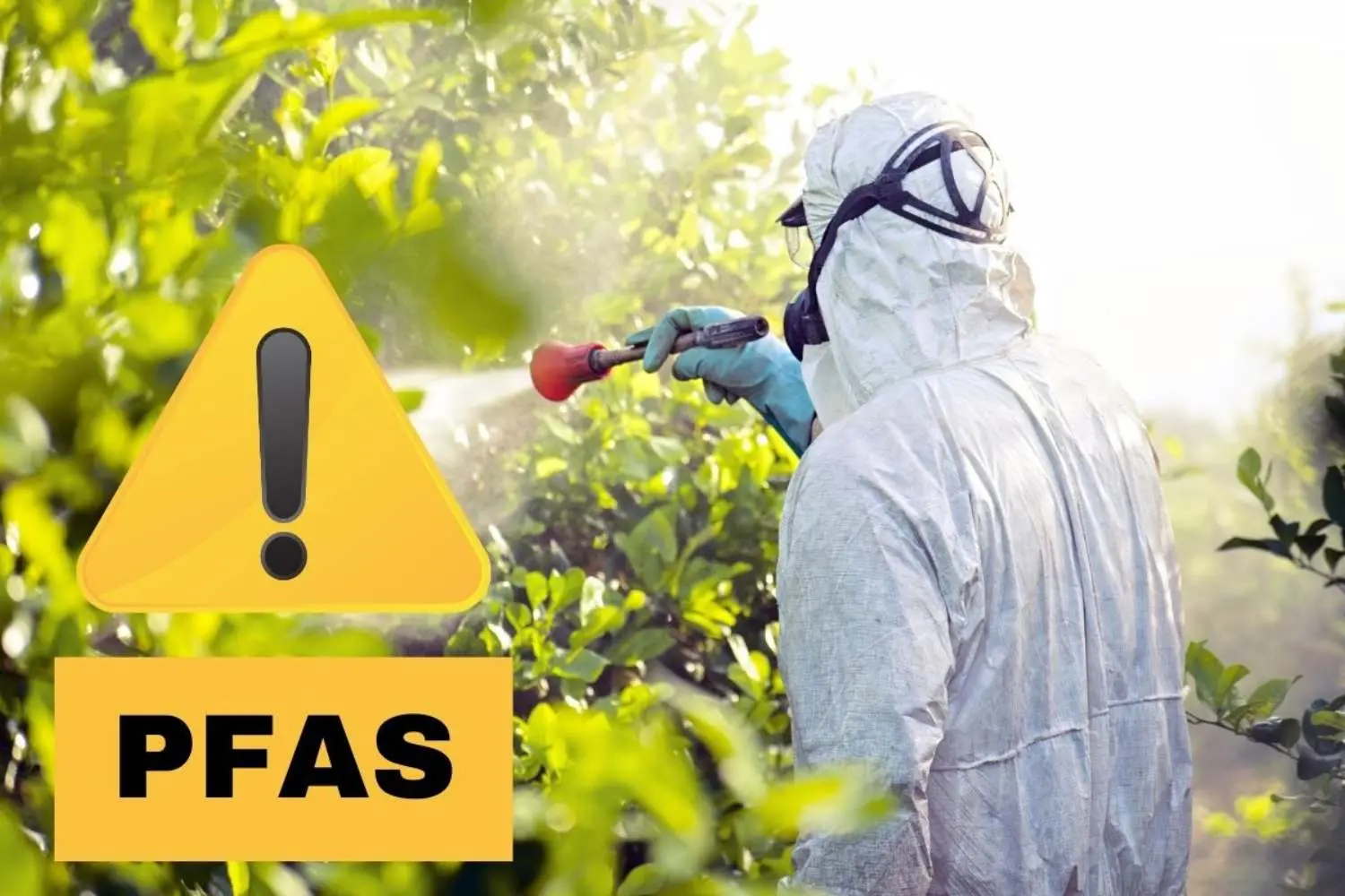 Stop al flufenacet in Ue: serve una svolta sui Pfas oggi