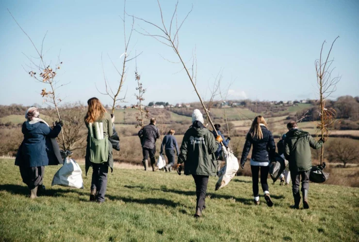 Il governo britannico pianifica 20 milioni di alberi per la foresta