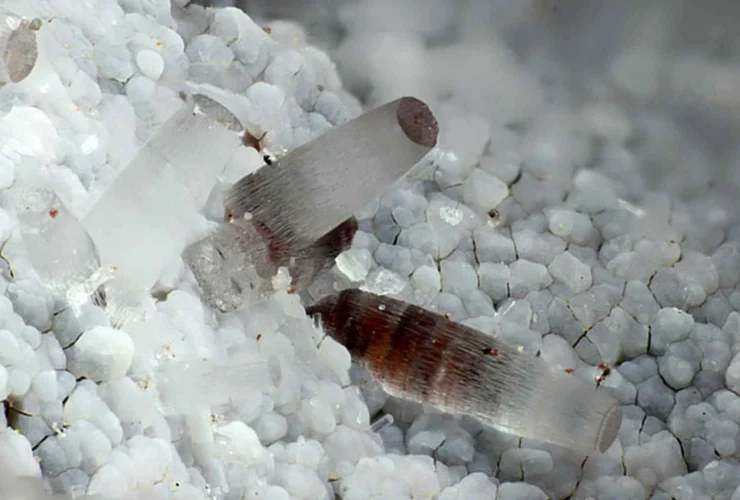 Erionite: conosci la fibra pericolosa e i suoi luoghi di presenza