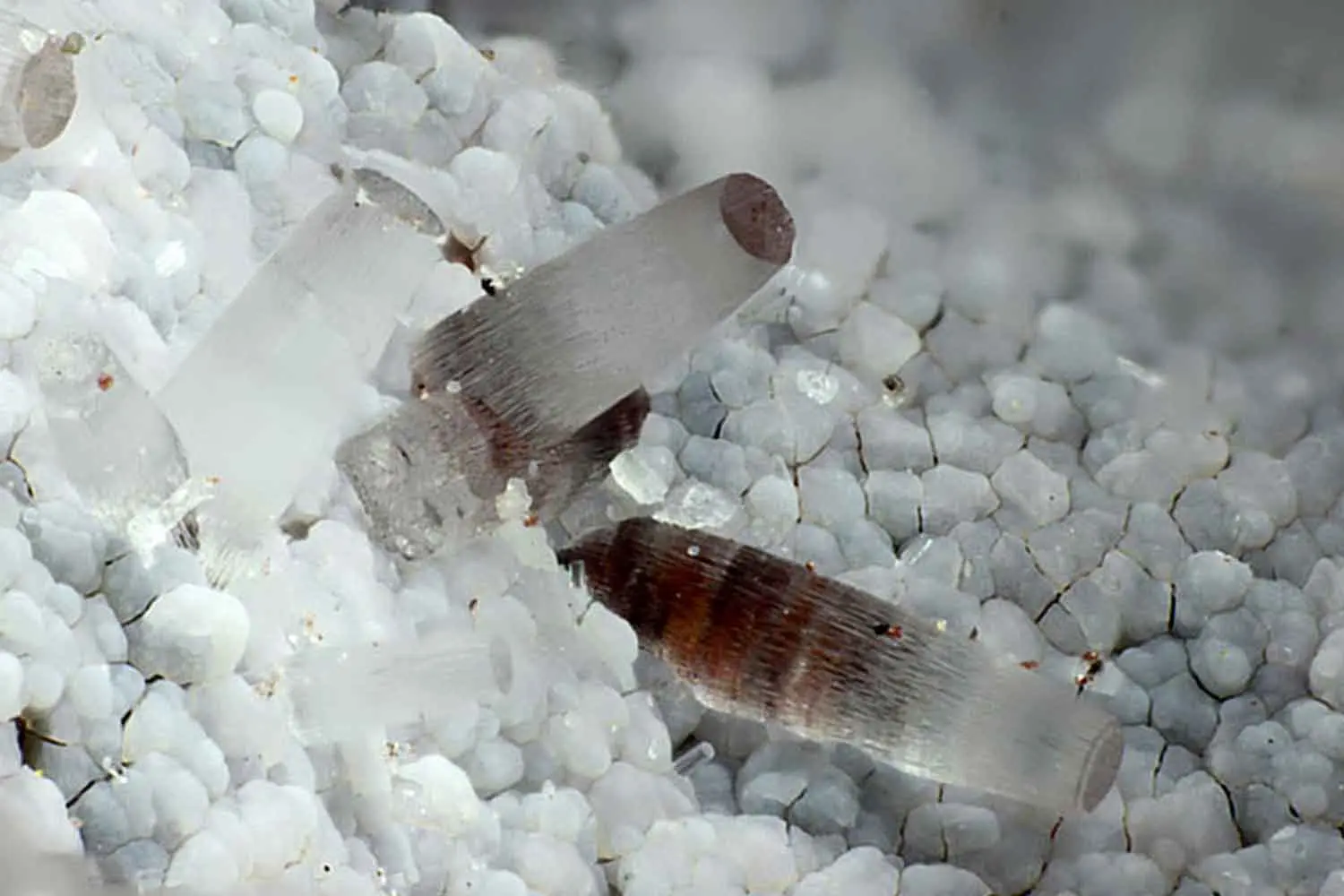 Erionite: conosci la fibra pericolosa e i suoi luoghi di presenza