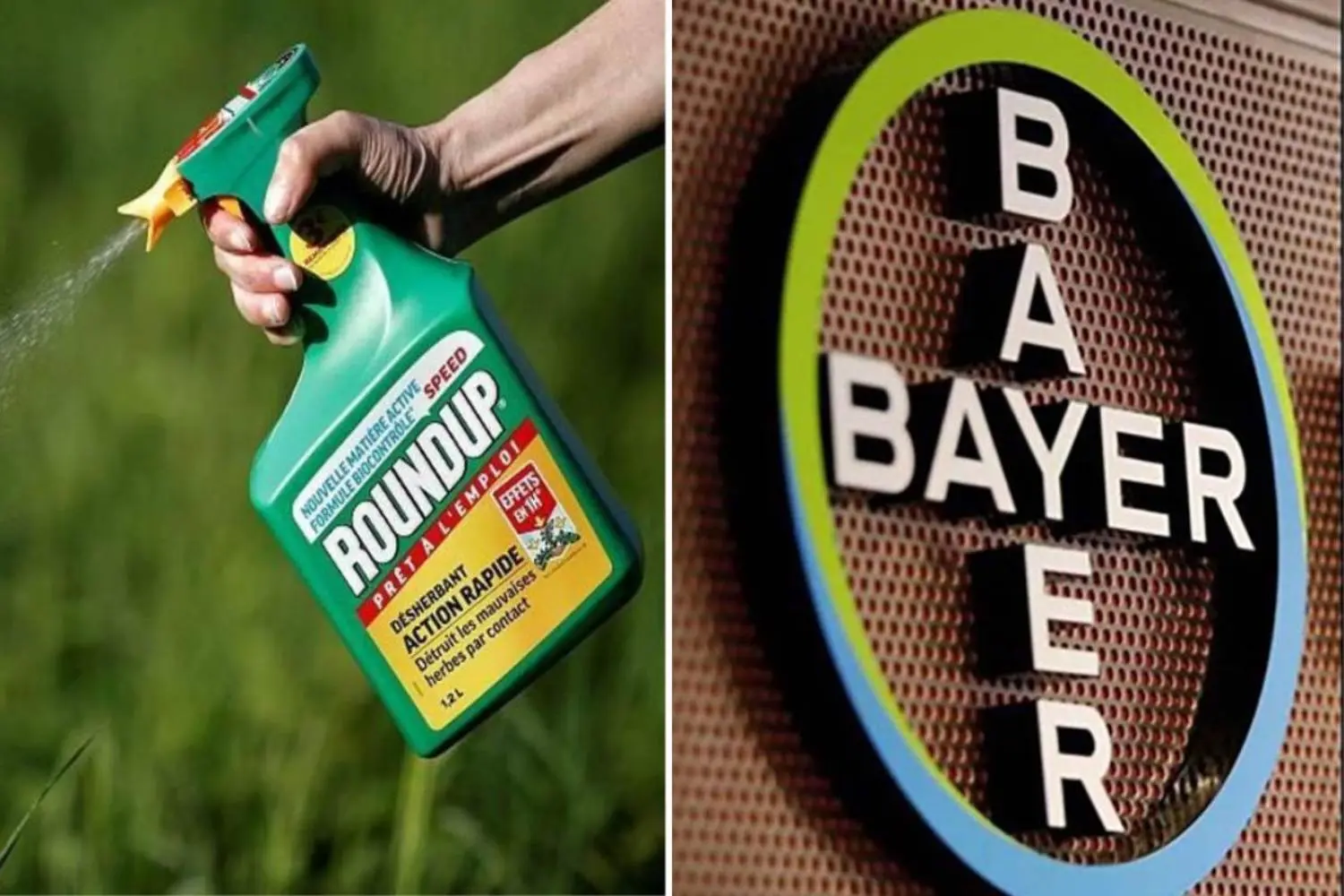 Bayer costringe a 1,9 miliardi per Roundup al glifosato