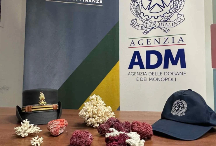 Coralli protetti sequestrati all’aeroporto di Bari: una svolta per la protezione marina