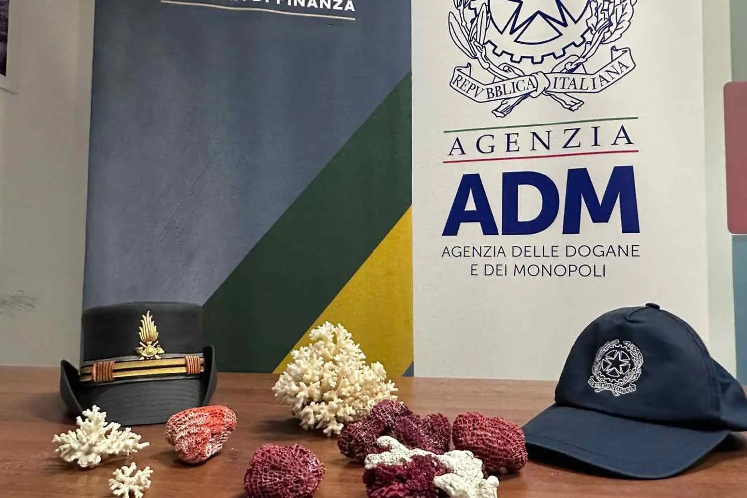 Coralli protetti sequestrati all’aeroporto di Bari: una svolta per la protezione marina