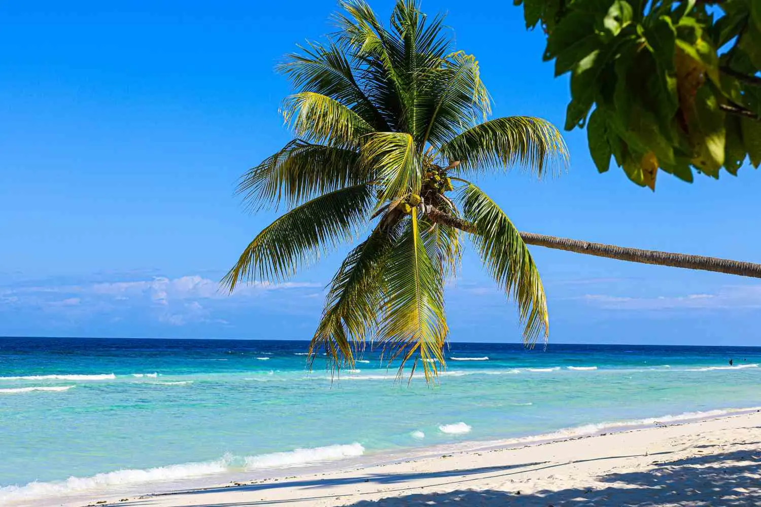 Ecco il titolo riscritto:

**Lotta in Giamaica per l’accesso gratuito alle spiagge: solo l’1% disponibile**