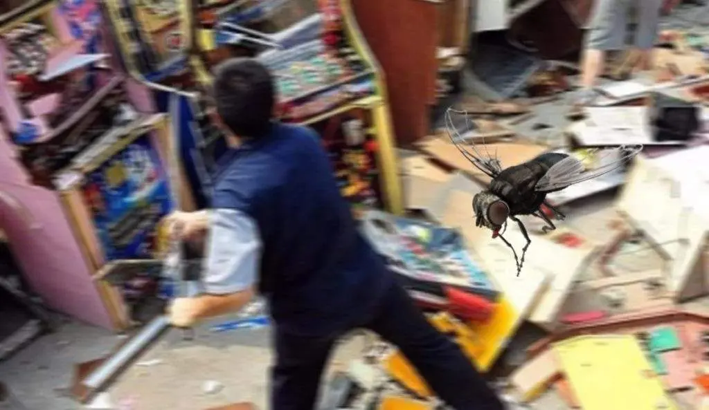 Un uomo fa caos in casa cercando di catturare una mosca!