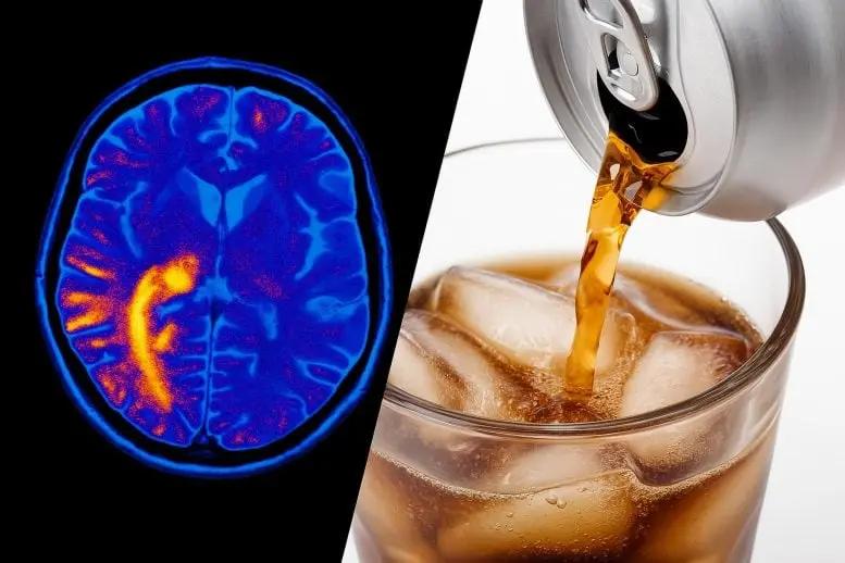 Perché la tua bevanda dietetica aumenta la fame? Ecco la verità!