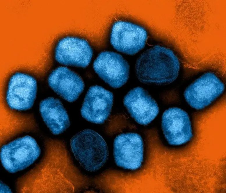 Allerta Mpox: la nuova mutazione preoccupa il mondo intero!