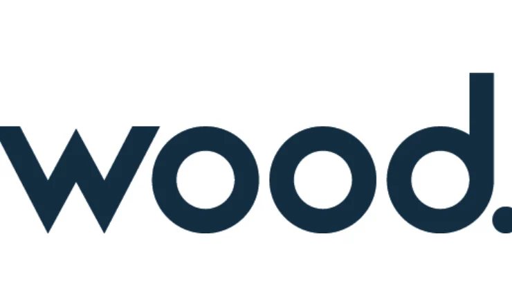 Wood Group sotto i riflettori: problemi culturali nei progetti!