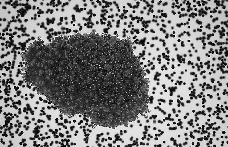 Le piccole pietre che creano mondi straordinari nell’universo