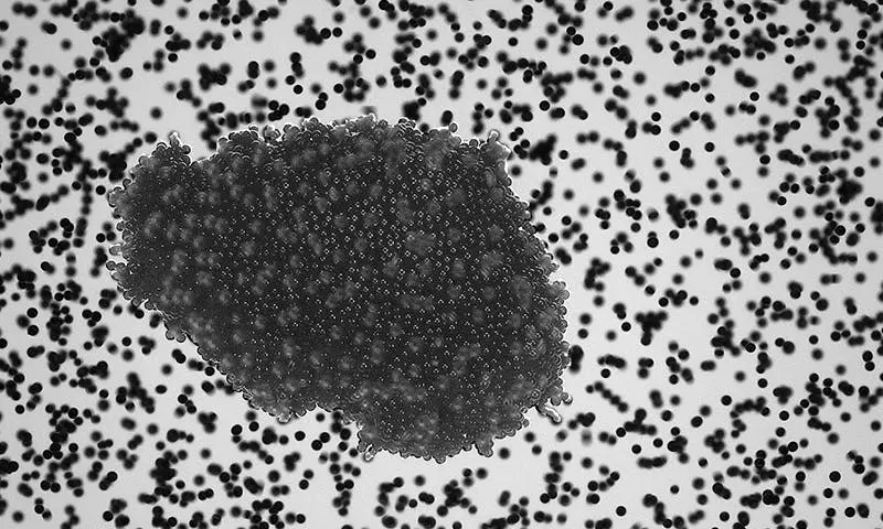 Le piccole pietre che creano mondi straordinari nell’universo