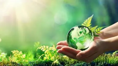 Zyxel brilla tra i top brand per la sua vision green e sostenibile