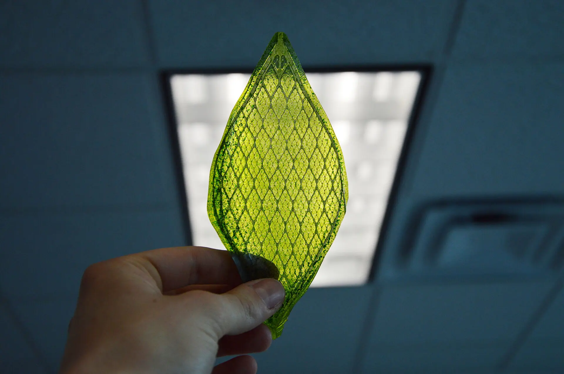 Silk Leaf: la rivoluzione verde che porta l’ossigeno in casa!