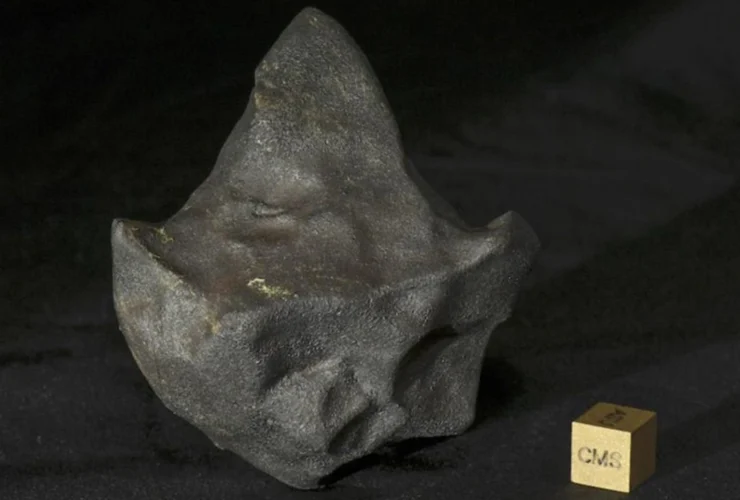Dalla galassia alla giungla: il sorprendente viaggio del meteorite
