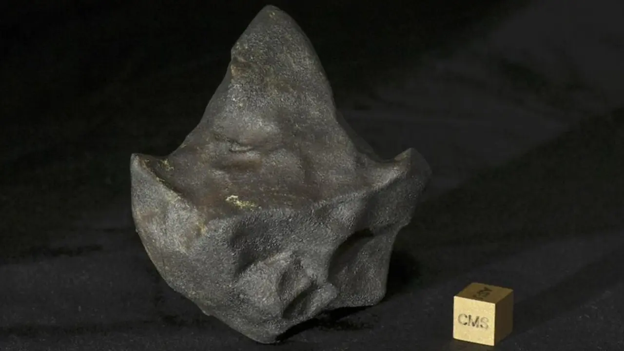 Dalla galassia alla giungla: il sorprendente viaggio del meteorite