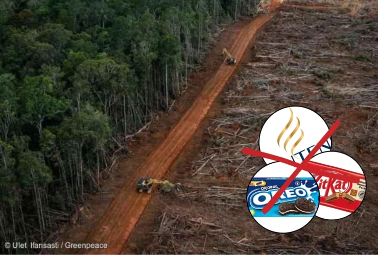 Indigeni indonesiani protestano: KitKat e Oreo nel mirino!