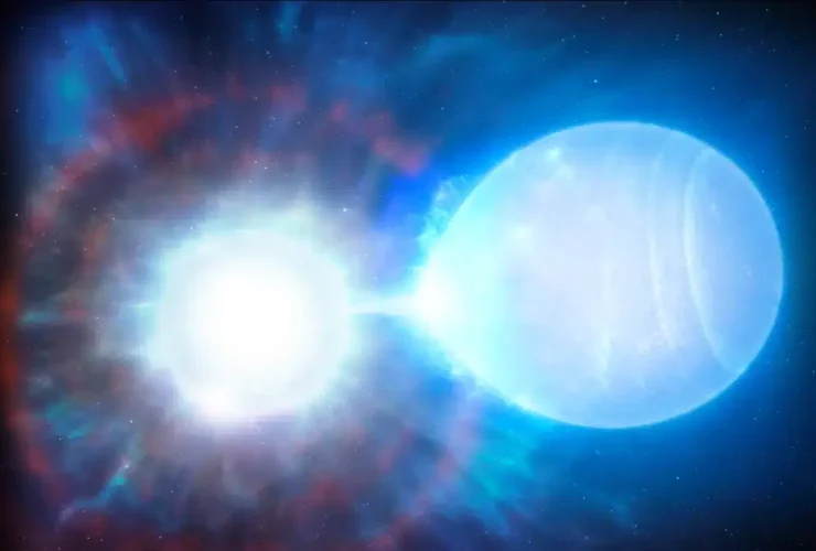 Due nane bianche pronte a sfidarsi: un dramma celestiale!