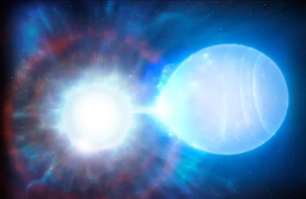 Due nane bianche pronte a sfidarsi: un dramma celestiale!