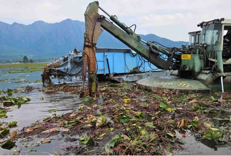 Un innovatore trasforma l’infestazione del lago indiano in fertilizzante