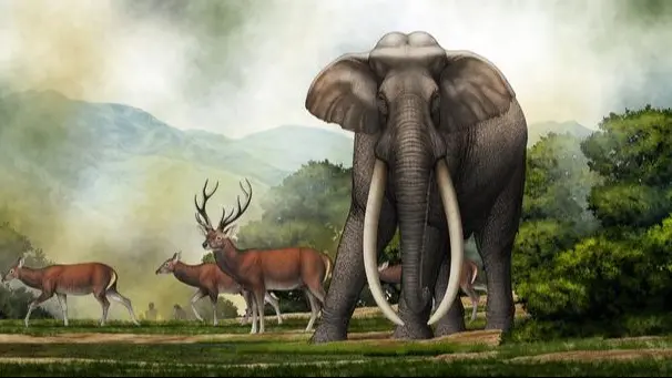 L’elefante europeo: 700.000 anni fa e il suo possibile ritorno